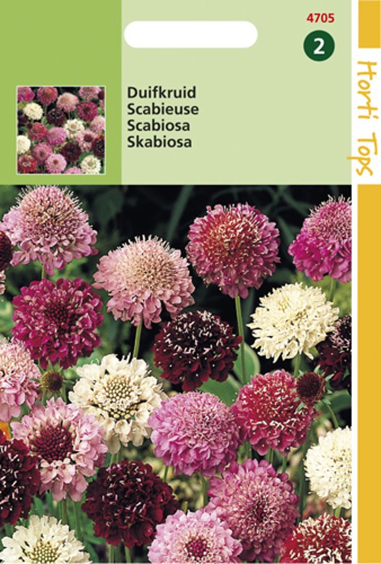Tauben-Skabiose Mix (Scabiosa atropurpurea) 150 Samen HT